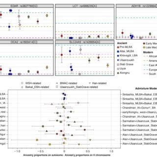 Functional Allele Frequencies And Sex Biased Patterns Of Genetic
