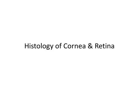 Solution Histology Of Cornea Retina Studypool