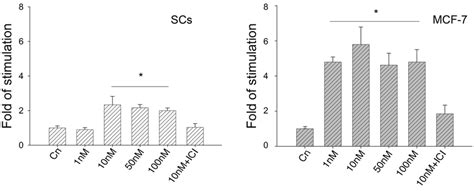 Ere Luc Activity In Testis Scs And Mcf 7 Cells Stimulated By Increasing