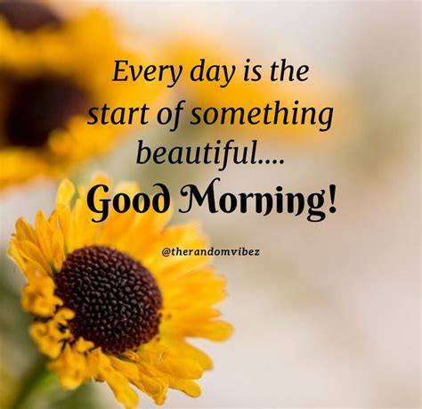 Good Morning Sunshine Quotes Images Pictures Good Morning