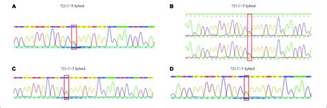 results  gene sequence   family  exon     gene