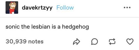 Sonic The Lesbian Is A Hedgehog R Brandnewsentence
