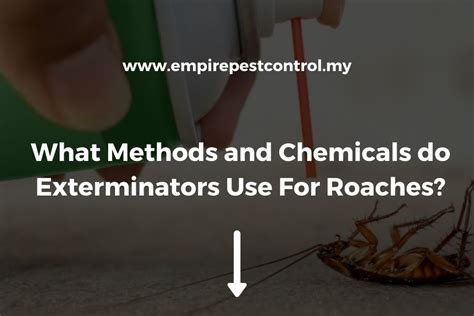 Methods and Chemicals Exterminators Use For Roaches