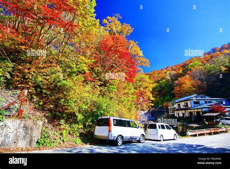 Beautiful Landscape View Of Colorful Autumn Forest With Blue Sky In Hot Spring Resorts Of Nyuto