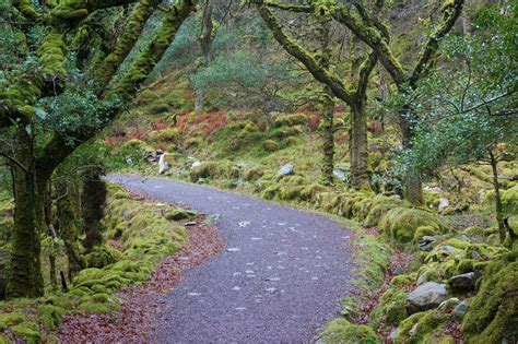 Torc Mountain in Killarney National Park: Hiking Ireland - The Idyll