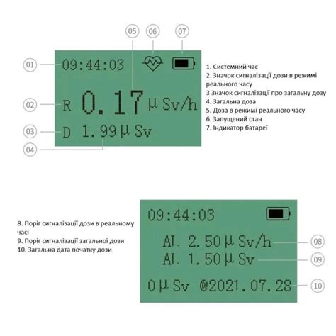 Дозиметр BOSEAN FS-600