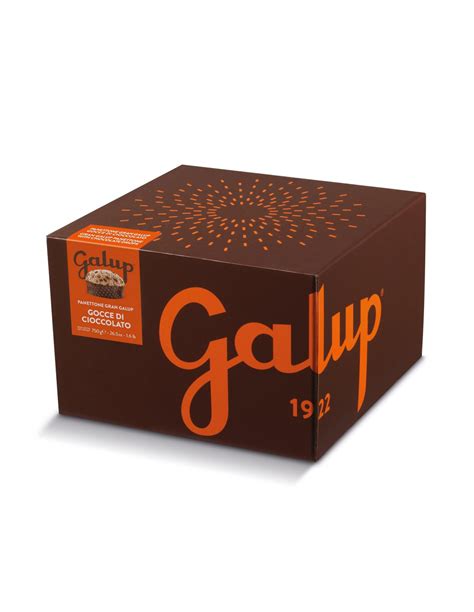 Panettone Gran Galup Gocce Di Cioccolato G Acquista Online Al