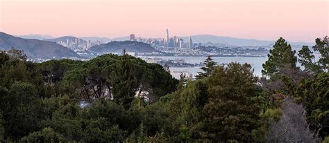 Contact Nelson Luxury Real Estate