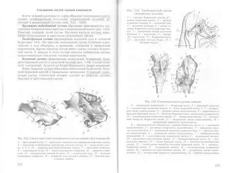 Анатомия и физиология животных. - Зеленевский Н.В.