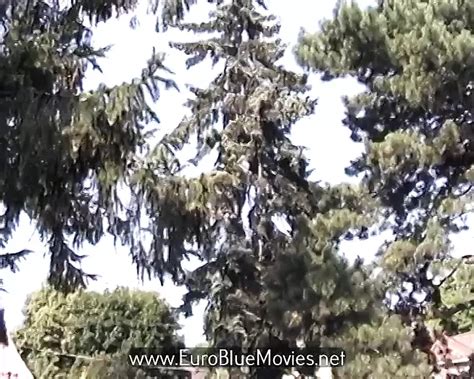 Body Language Anal Anal Porn Feat Erika Bella By Euro Blue Movies Xhamster