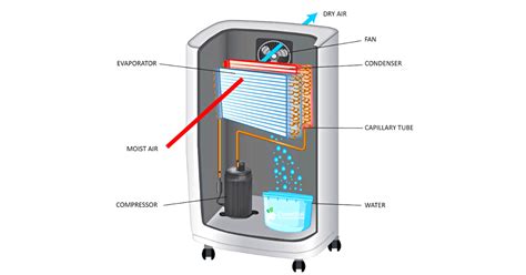 How Does A Dehumidifier Work? - 2025 A Simple Science Explanation