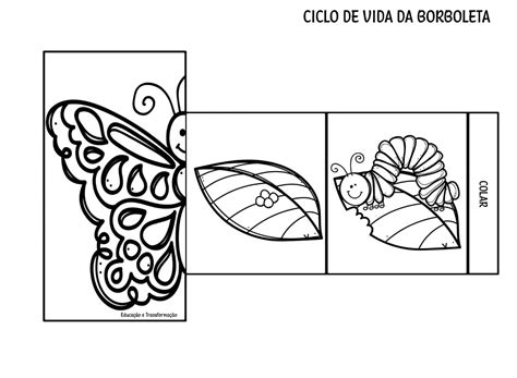Ciclo De Vida Da Borboleta Para Educação Infantil