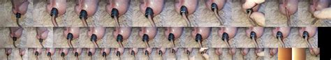 Insects Bugs Worms Maggot Snail Sex Videos This Group Only To Upload Videos Insects