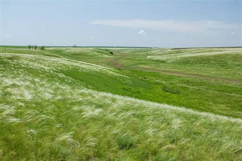 Степь. Большая российская энциклопедия
