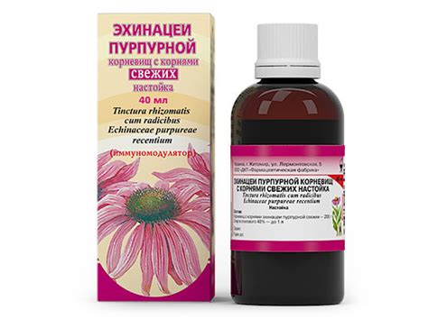 Эхинацея для детей (сироп, настойка) для иммунитета: инструкция по ...
