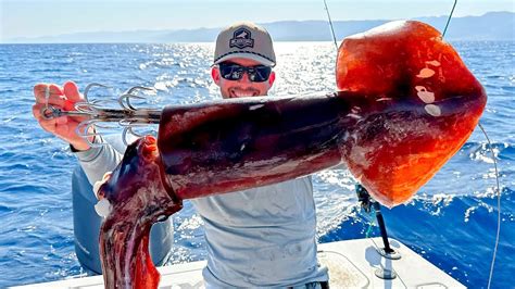 Fishing With Huge Squid As Bait To Catch Something Bigger Youtube