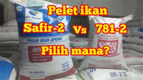 Pelet Ikan Safir Dan Pelet Ikan Youtube