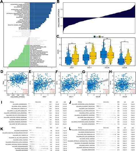 Explorations of CCL28 in lung adenocarcinoma immunotherapy | JIR