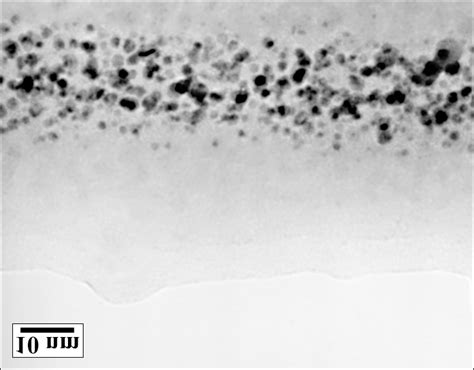 The Distribution Of Ag Particles In One Layer N Of The High Ag Glass Download Scientific