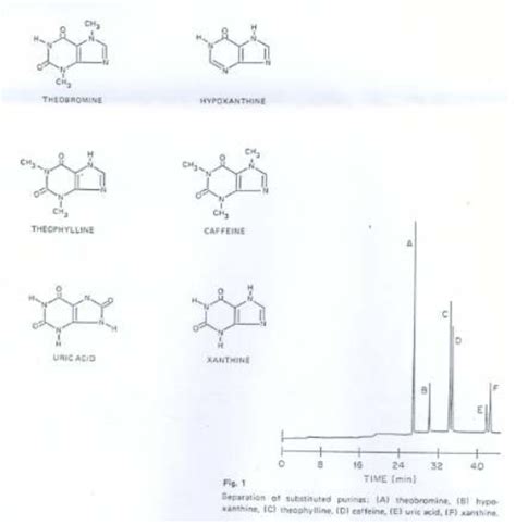 Electrophorèse capillaire