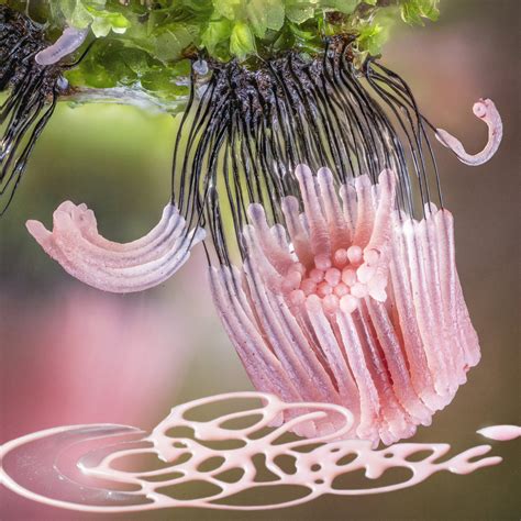 Roni Celestial Bitter Babe Remix Roni