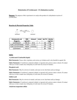 Chem Lab Report Joe Student Lab Partner Jane Student