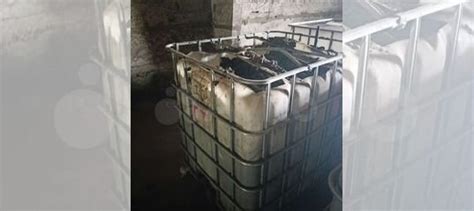 Фуз подсолнечный купить в Новодеревянковской | Животные и зоотовары | Авито