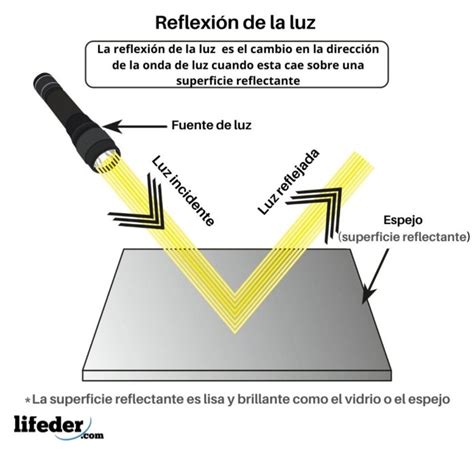 Reflexión De La Luz Concepto Explicación Tipos Y Ejemplos