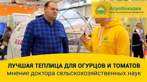 Лучшая теплица для огурцов и томатов - мнение доктора ...