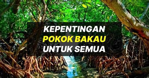 Kepentingan Hutan Paya Bakau Kepada Biodiversiti Kepentingan Hutan