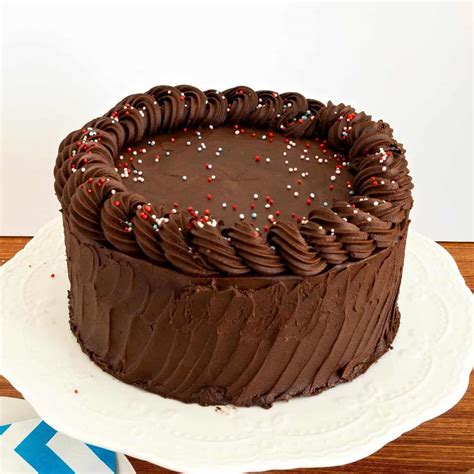 Plain Chocolate Cake