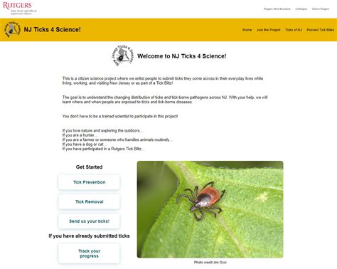 how to know if a tick bit me