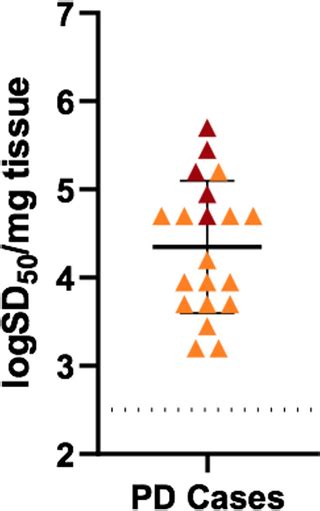 α Synuclein Seeding Activity In Duodenum Biopsies From Parkinsons