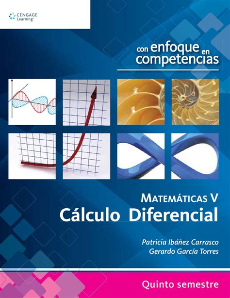 Matematicas V Con Enfoque En Competencias C Lculo Diferencial