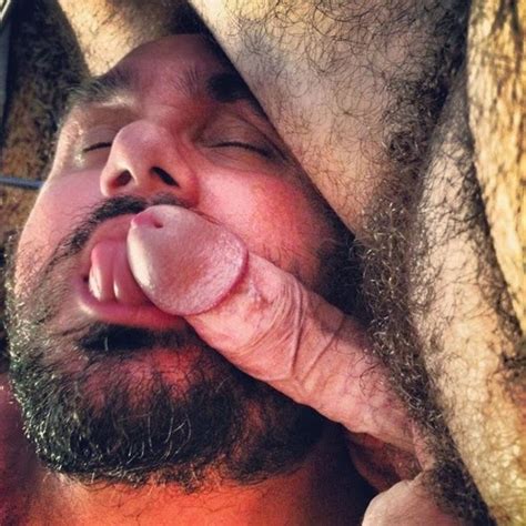 Machos Peludos Pelados Bears Bearded Oral Sex