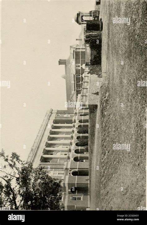 briar patch stock photo alamy