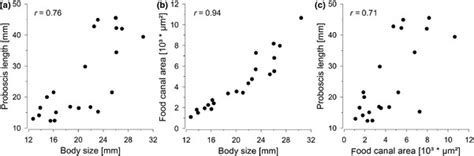 Pearson correlation of all three measured morphological variables ...