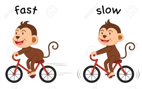 Fast And Slow Clipart 10 Free Cliparts Download Images On Clipground 2025