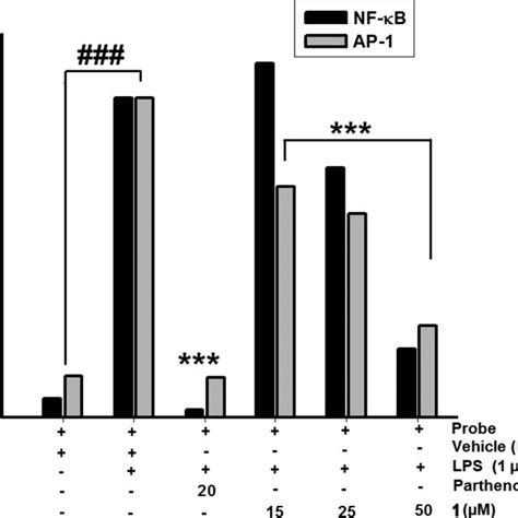 Effect Of On Nf B And Ap Dna Binding Activity An Electrophoretic