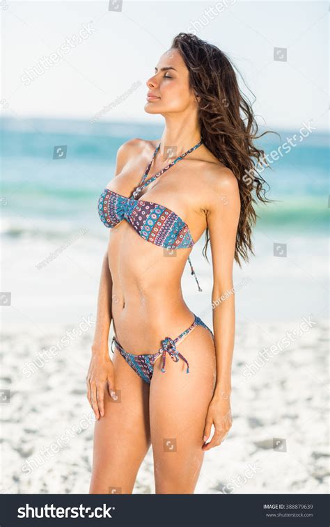 Smiling Pretty Brunette Posing Bikini On Stock Photo Shutterstock