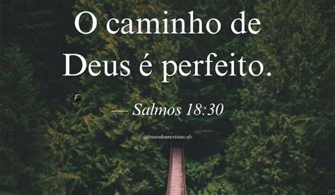 O Caminho De Deus É Perfeito Versículo - O caminho de Deus é perfeito. — Salmos 18:30 - FRASES DE UM CRISTÃO
