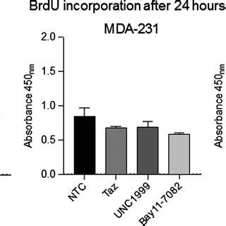 Functional Effects Of Ezh Nf B And Nkila Inhibition On Cell