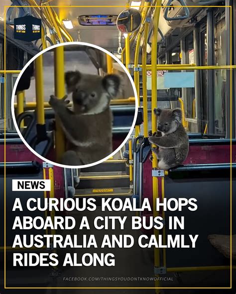 How Fairburn ga became the surprise destination for commuters 17