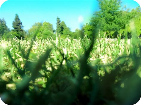 On These Hot Lazy Days AMused