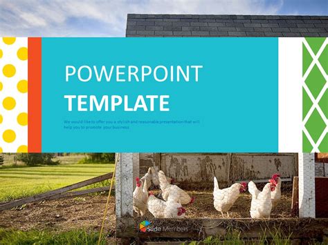 Chicken Powerpoint Template 53 Koleksi Gambar