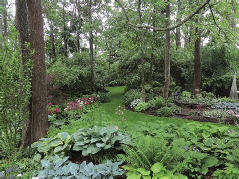 A Woodland Garden Design Fine Gardening