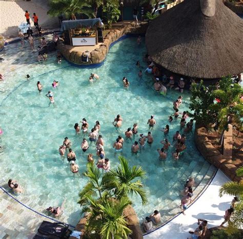 Hot Beach Para Aniversariantes E Moradores De Ol Mpia O Parque Aqu Tico Tem Promo O O Ano