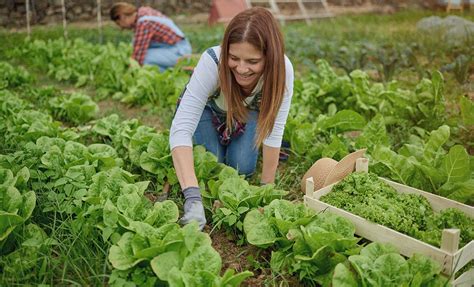 Mental Health And Nutrition