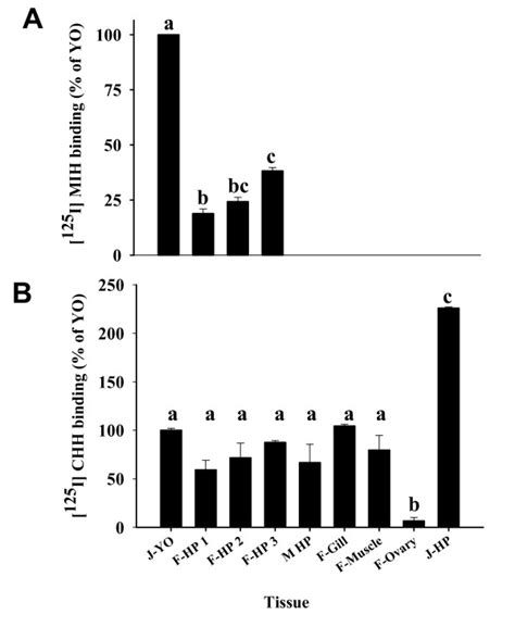 Mih Specifically Binds To Membranes Of Mature Female Hepatopancreas