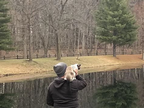 Best Transport Images On Pholder Fuckcars Tank Porn And Interestingasfuck